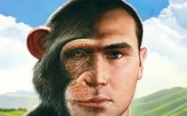 Можно ли скрестить обезьяну с человеком?